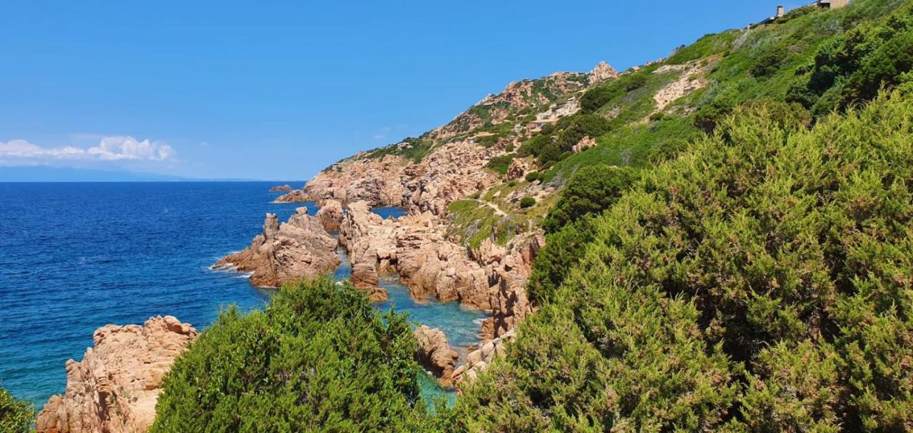 Appartamento Borgo La Vigna Trinità dʼAgultu 外观 照片